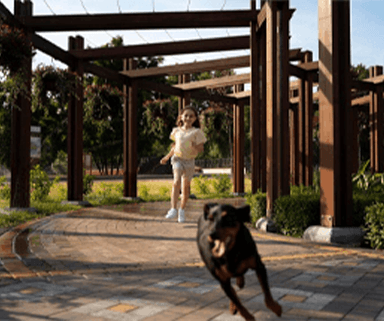 M3M Soulitude Sector 89 in Gurgaon